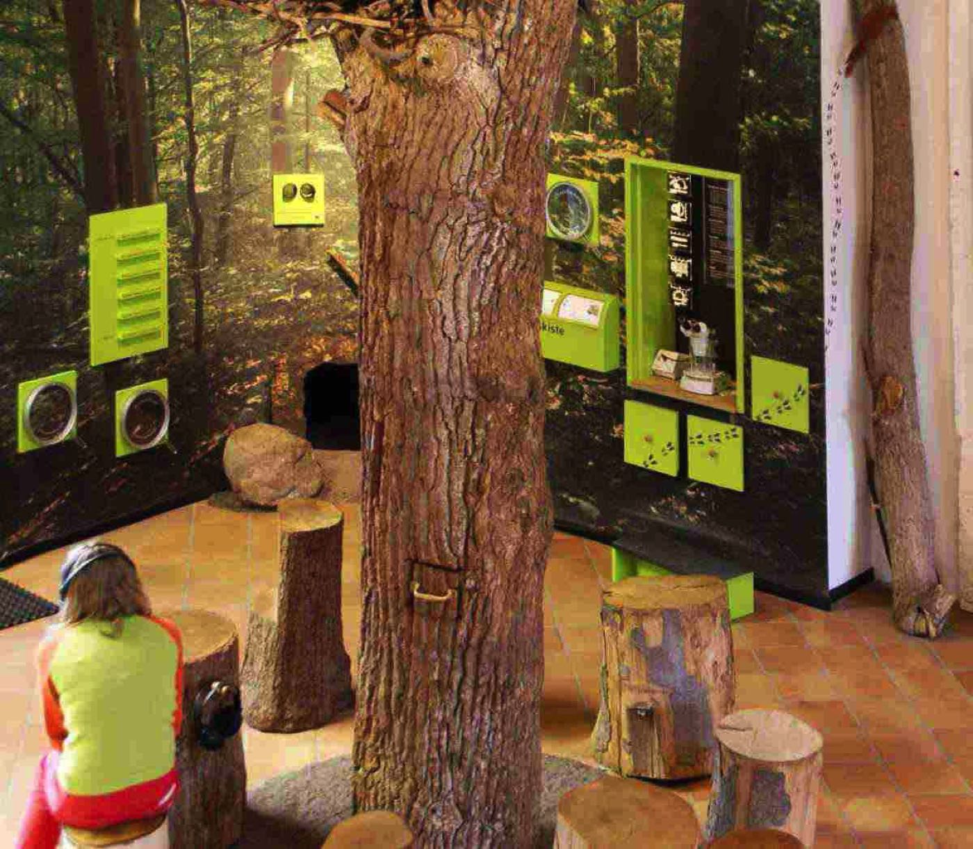 DSC00719 Kopie 1300 &nbsp;30 redu