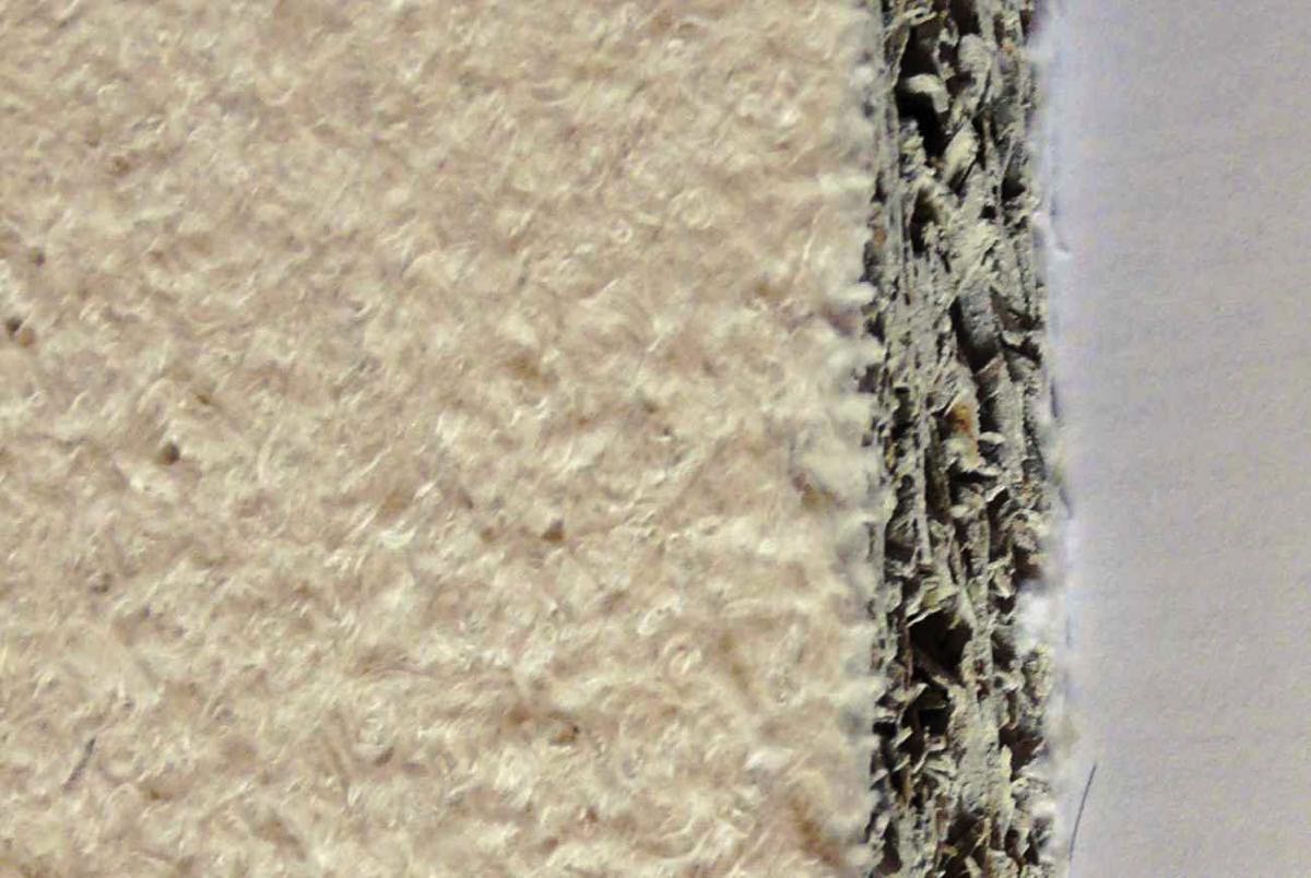 P1020526 Kopie 2 1300 redu